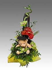 Teddy