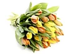 natúr tulipán csokor