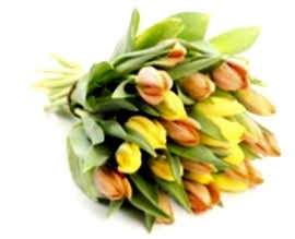 natúr tulipán csokor