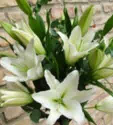liliom csokor
