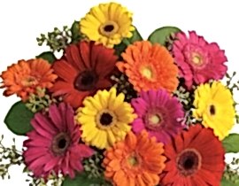 gerbera csokor
