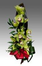 Orchidea ág díszítve