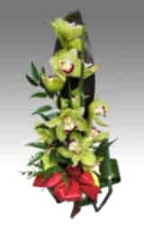 Orchidea ág díszítve